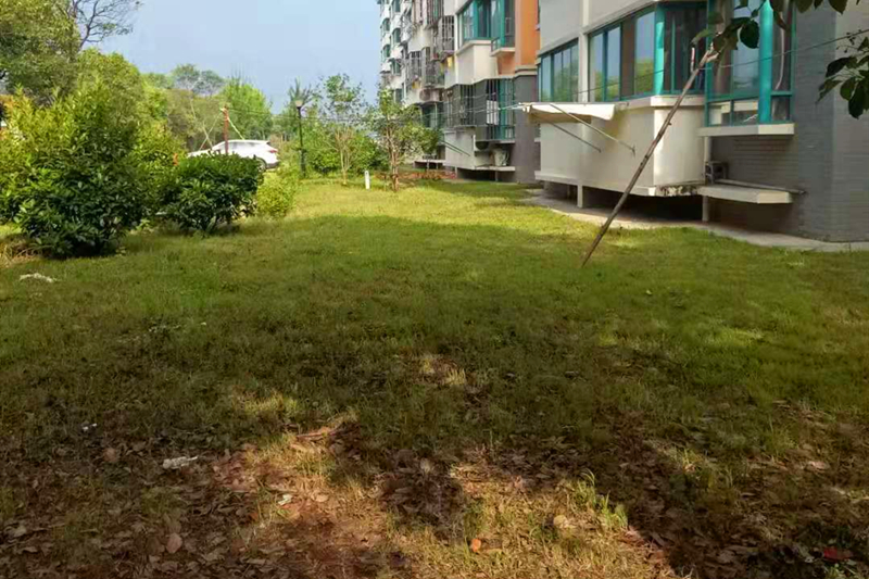 QQ图片20190710080013_副本.jpg QQ图片20190710080013_副本.jpg